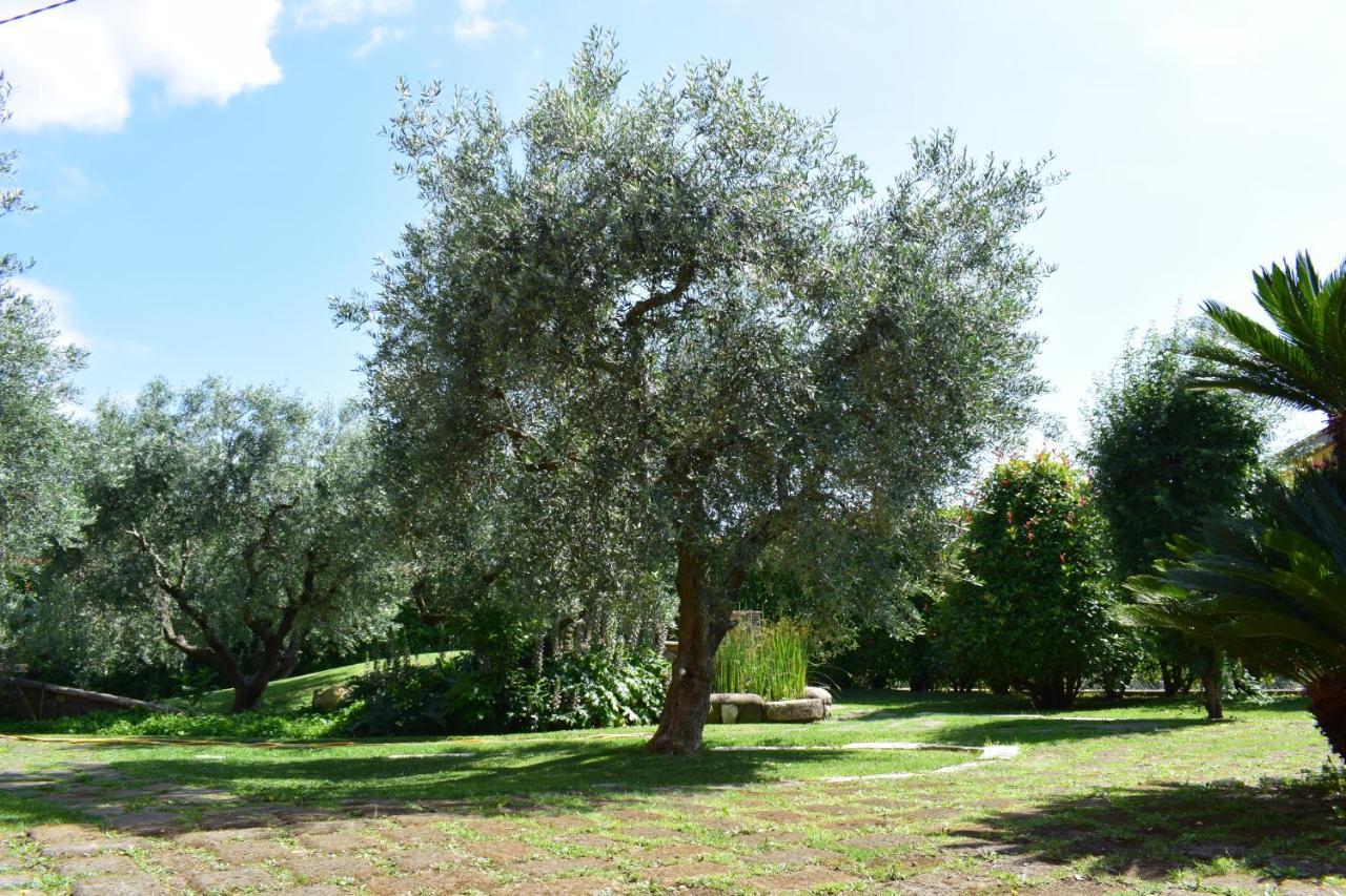 فندق Locanda Pinocchio Rocca Massima المظهر الخارجي الصورة